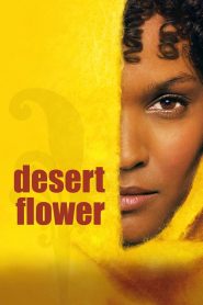 沙漠之花