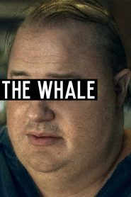 鲸