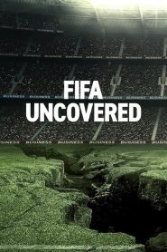 FIFA揭秘：足球、金钱与权力