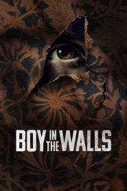 墙里的男孩