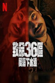 致命36区